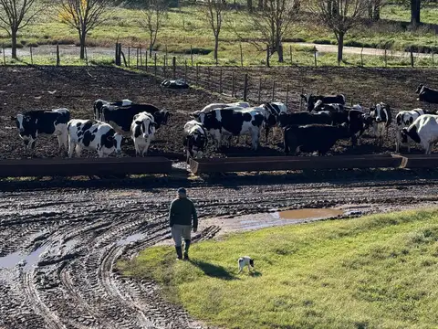 CAMPO MIXTO EN VENTA 334 HAS, RANCHOS, GENERAL PAZ