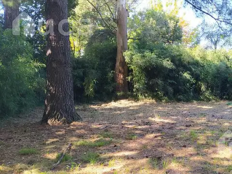 Terreno en Venta de 1844,0 m2