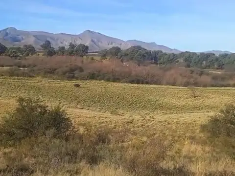 Terreno en Venta 2.000  mts Frente