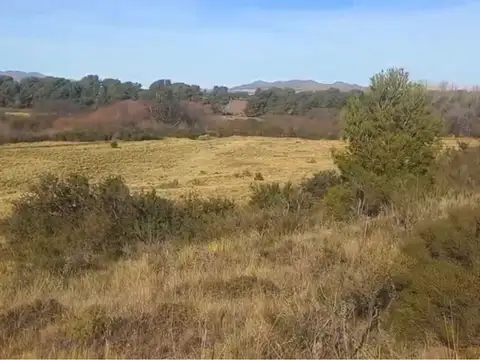 5 Hectareas Con Costa De Arroyo Funke Sierra De La Ventana