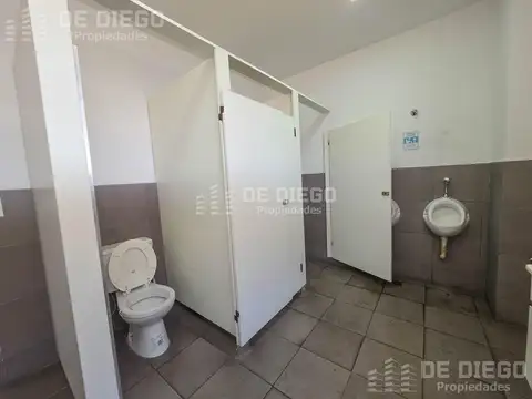 Debenedetti 3800