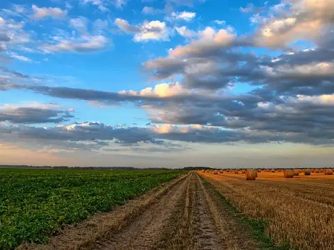 Campo en venta en Castelli