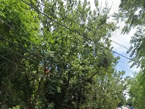 Terreno en Venta en Beccar, USD 100.000