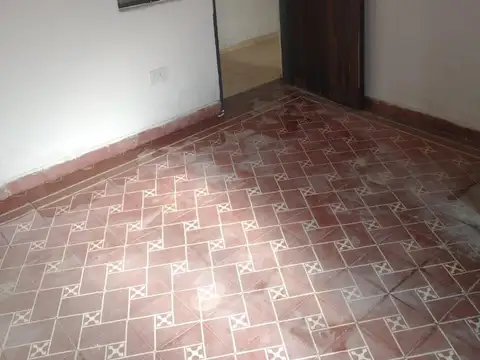 Zorrilla 600