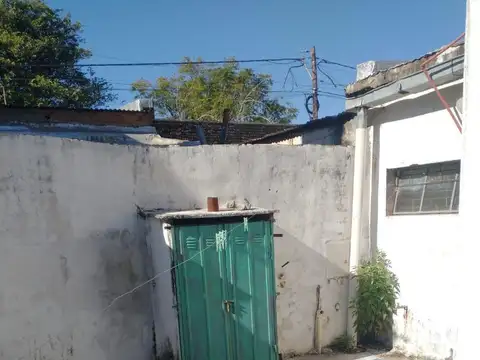 Zorrilla 600