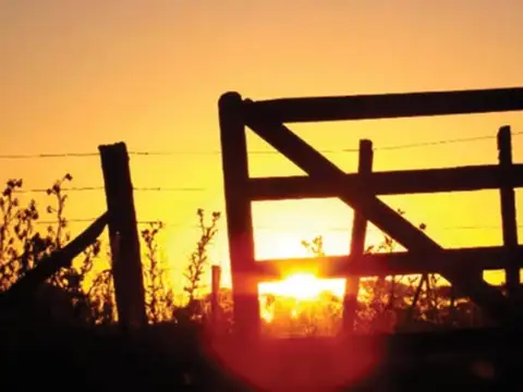 Campo en Venta en Tres Isletas, Maipú