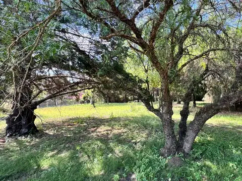 Terreno en Venta de 859,0 m2
