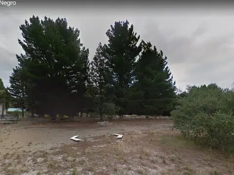 Terreno en Venta de 10000,0 m2