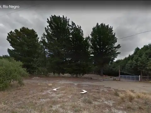 Terreno en venta-Costa Nahuel Huapi - Dina Huapi- Bariloche 