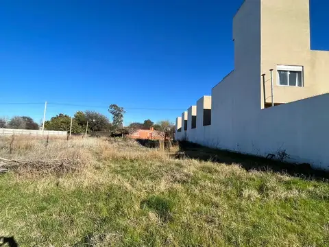 Pedro Tueros 100