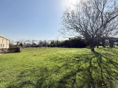 Lote en venta – Altos de Manzanares, Pilar de 1005mt2