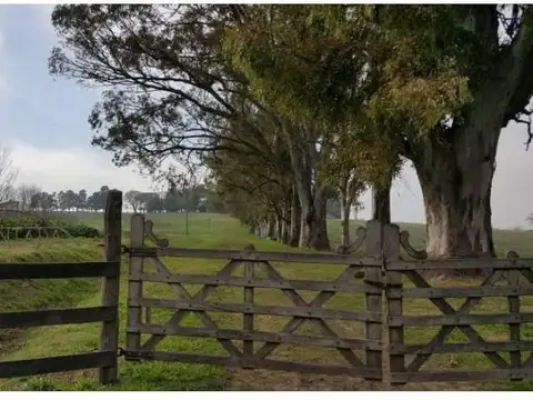 Campo en Venta en Victoria, Entre Ríos
