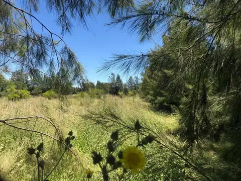 Lote en Venta en Los Talas, Berisso