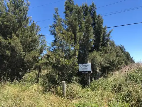 97 y San Gabriel