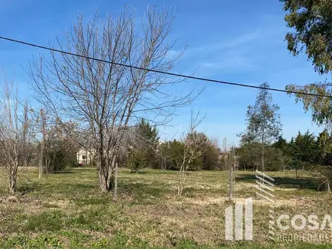 Terreno en Venta de 1000,0 m2