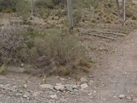 Terreno en Venta en Las Vegas, USD 11.000
