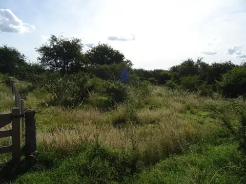 Terreno en Venta, FOT 40