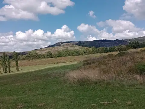 Excelente predio en venta de 20000 metros cuadrados