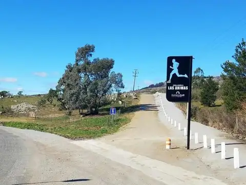 Terreno en Venta en Tandil, USD 790.000