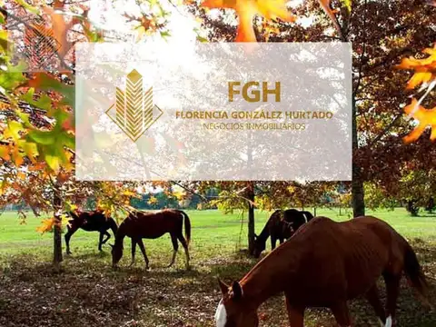 Lote Laguna  El Campo Fincas Exclusivas de Cardales