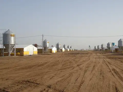 Campo en venta en Pedernales