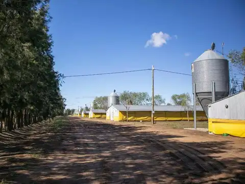 Campo en venta en Pedernales