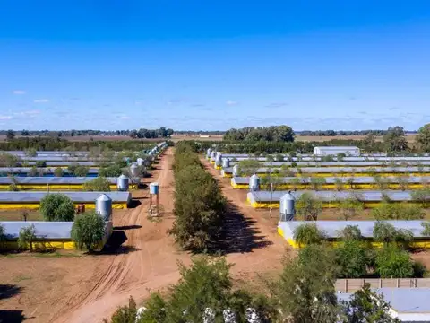 Importante Granja Avícola en Venta-25 Has con 30 Galpones y Producción para Exportación