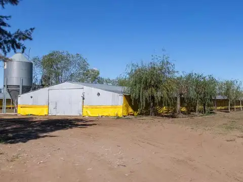 Pedernales 25 de Mayo Provincia de Buenos Aires