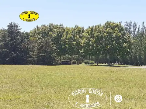 LA COLINA 5000 M2