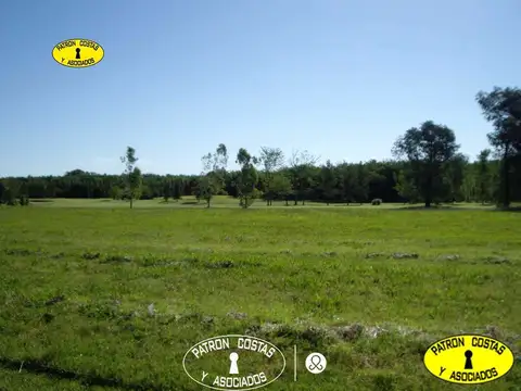 LA COLINA 5000 M2