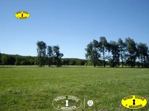 La Colina Golf & Polo 100