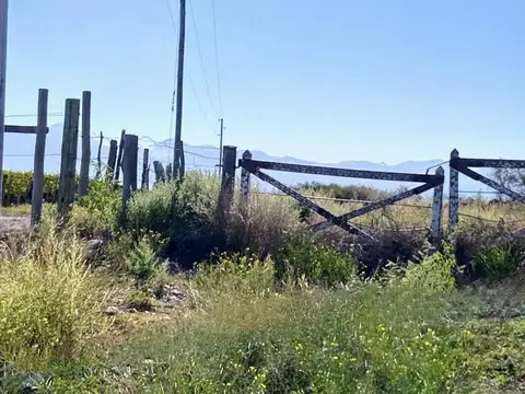 Venta de Terreno en zona de Bodegas - Tupungato