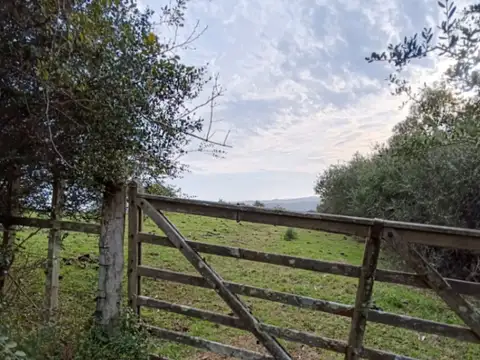 Garzon  arriba a 20km de garzon 100