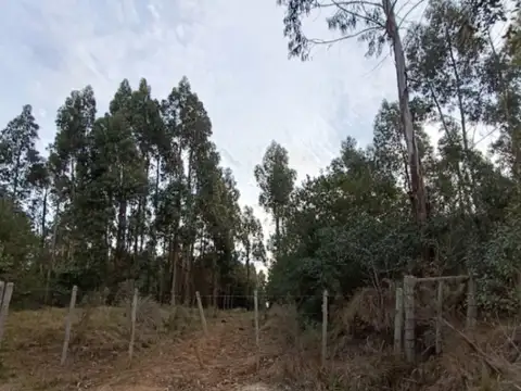 Garzon  arriba a 20km de garzon 100