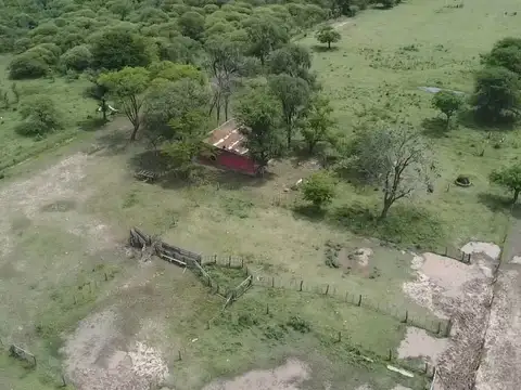 VENTA/CAMPO GANADERO/ ZONA RURAL/ PILAR/ SANTA FE