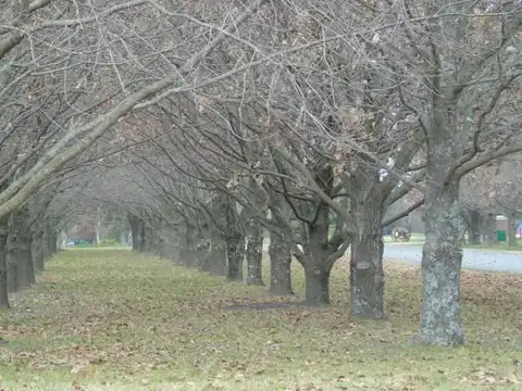 Chacra en Zona Norte