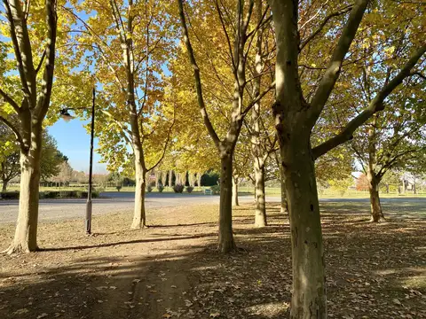 Chacra en Zona Norte