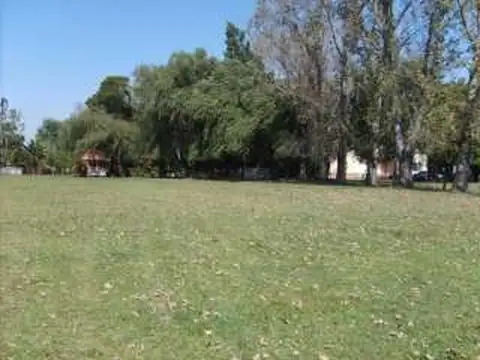 EXALTACION DE LA CRUZ 6  HAS. 100