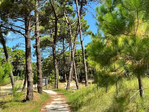 Oficina en Venta 2025 años