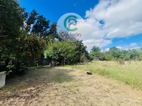 Lote en Venta en Cuartel Tercero .Francisco Alvarez.Moreno