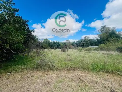 Lote en Venta en Cuartel Tercero .Francisco Alvarez.Moreno