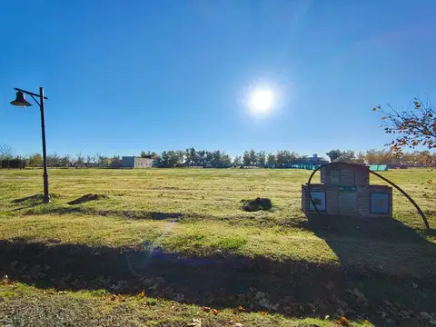 Ruta 2 100