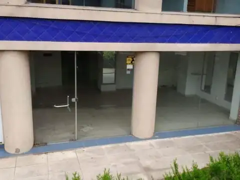 Maestro Angel D'elia 1200