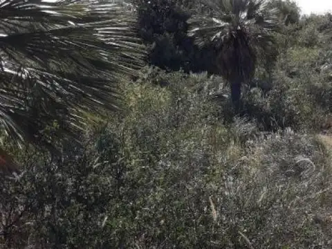 Capilla del Monte 5100