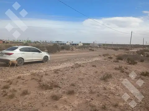 Centenario. Zona Autódromo