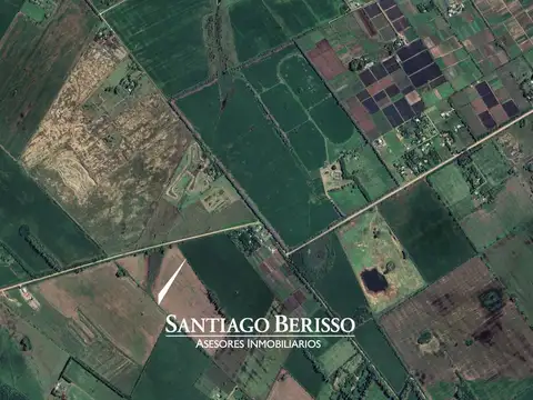 Campo en El Tatu
