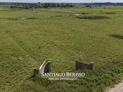 84 ha. Agrícolas. El Tatú.