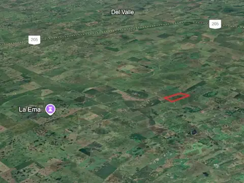 Campo mixto de 75 hectáreas en Gral.Alvear -  Venta
