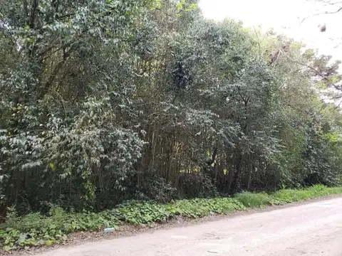 Terreno en Venta 50  mts Fondo