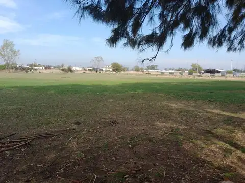 Venta Predio Para Loteo 9 Hectareas Ruta 4